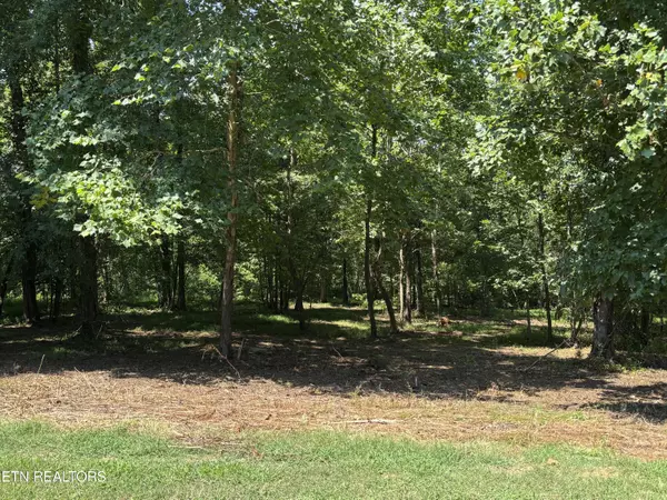 Rockwood, TN 37854,371 Walking Horse Tr