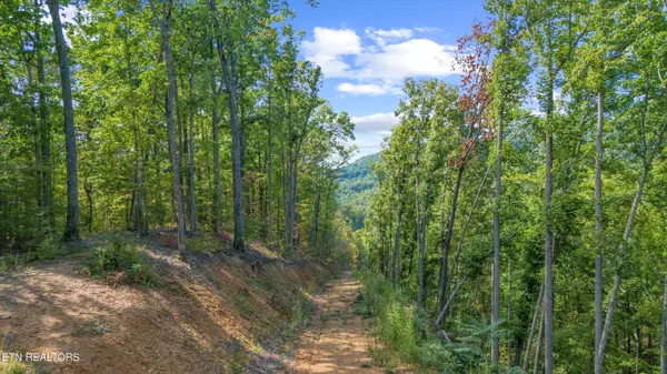 Sevierville, TN 37876,1876 Upper Middle Creek Rd