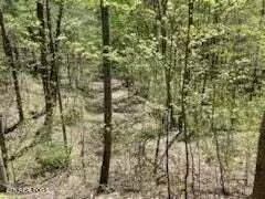 Sevierville, TN 37862,Lot 18 Castle Rise WAY