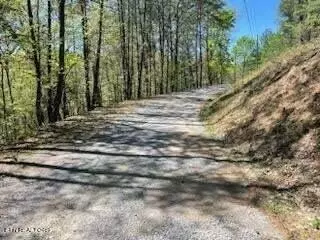 Sevierville, TN 37862,Lot 18 Castle Rise WAY