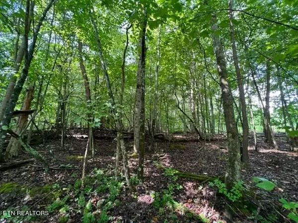 Baneberry, TN 37890,Lot 20 Hazelwood CT