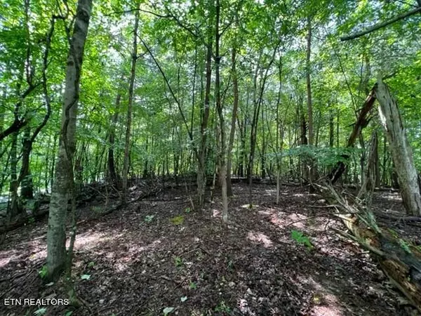 Baneberry, TN 37890,Lot 20 Hazelwood CT