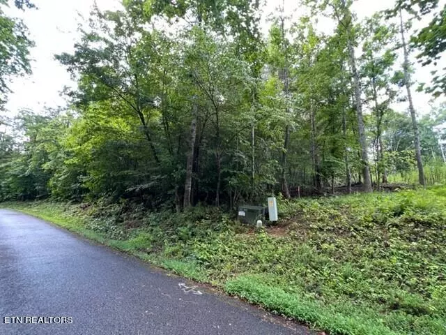 Baneberry, TN 37890,Lot 20 Hazelwood CT