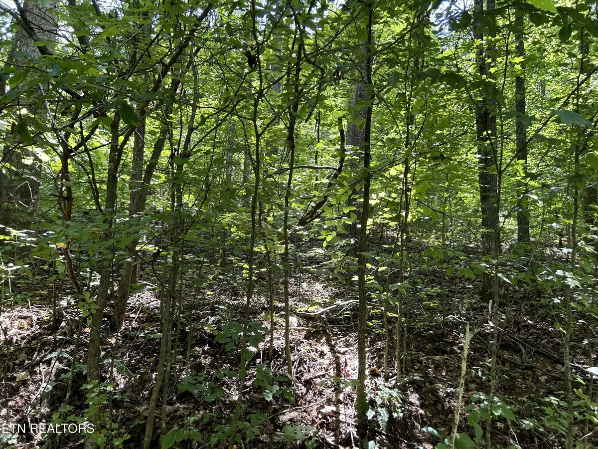 Maynardville, TN 37807,Pearl Lot 5 LN