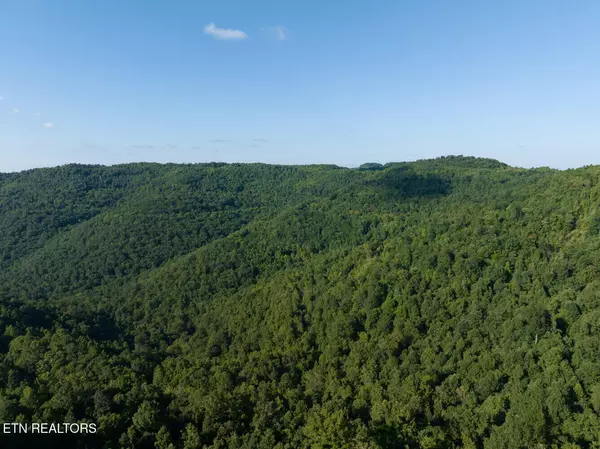 Pioneer, TN 37847,816 Sand Gap Rd