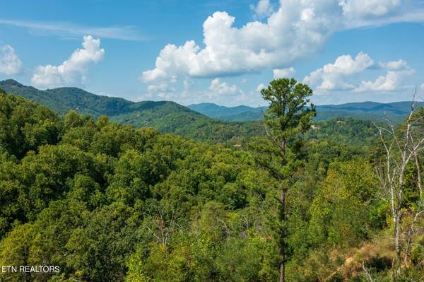 3217 Emerald Springs Loop, Lot 8, Sevierville, TN 37862