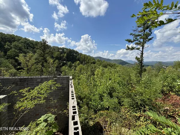 Sevierville, TN 37862,3217 Emerald Springs Loop, Lot 8