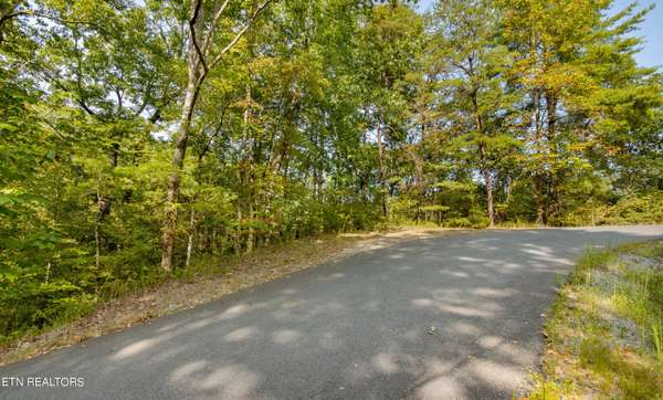 Lot 20 Sugar Maple Loop, Sevierville, TN 37862