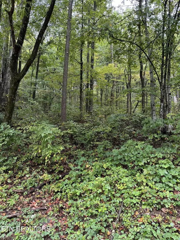 Jamestown, TN 38556,lot5/6 Jean Ave