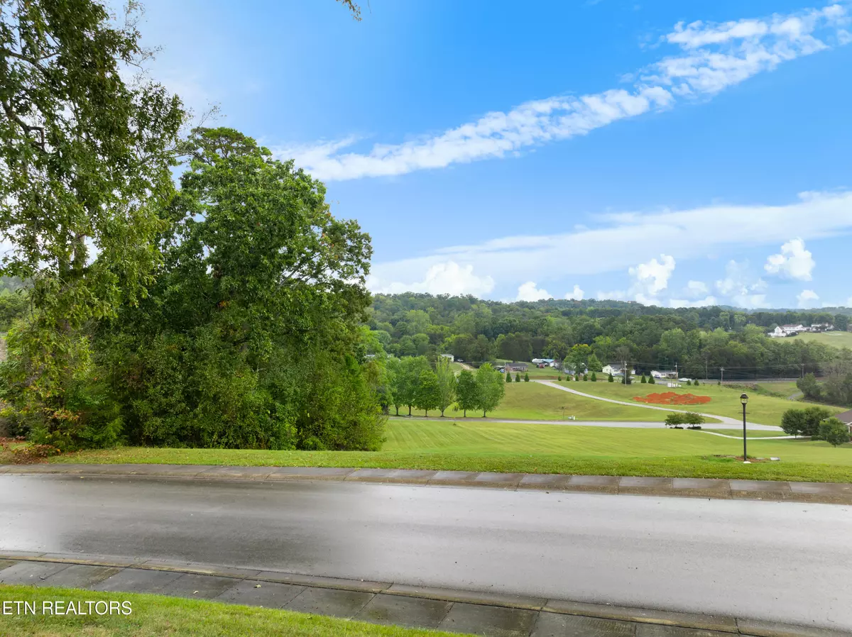 Dandridge, TN 37725,Serenity Overlook