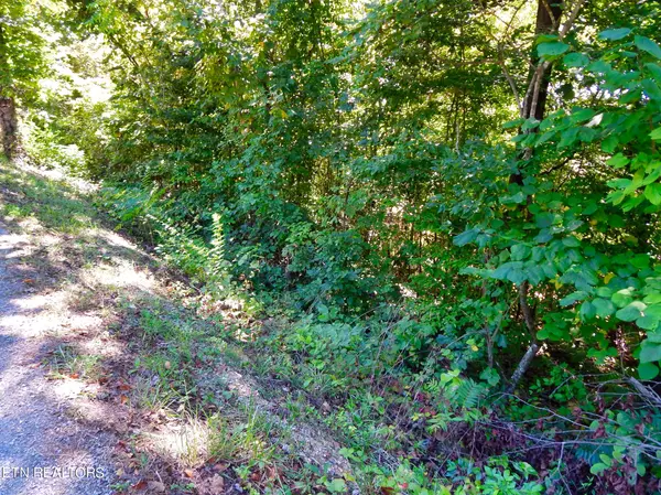 Lot 100/102 Jim Lee Ridge Rd, Lafollette, TN 37766