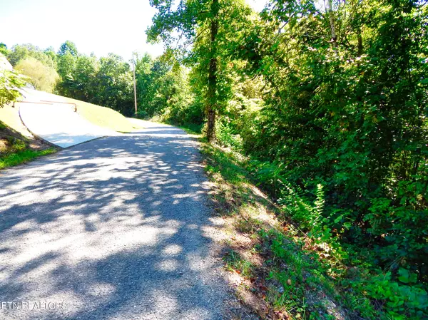 Lafollette, TN 37766,Lot 100/102 Jim Lee Ridge Rd