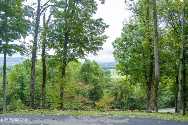 Byrdstown, TN 38549,3156 Mt Unon Rd