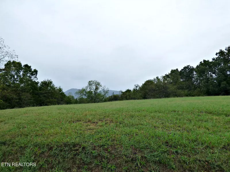 Lot 1 Indian Ridge Rd, Blaine, TN 37709