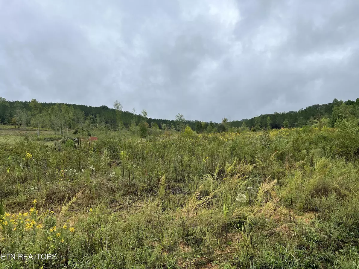 Decatur, TN 37322,Lot 4 North Nopone Valley Rd Rd