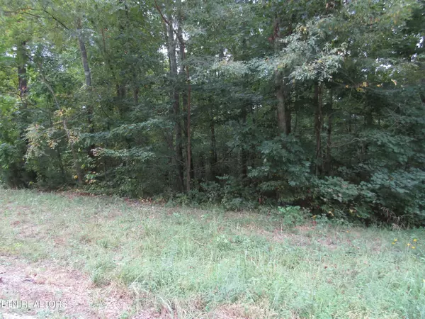 Jamestown, TN 38556,Lot 15 Cheyenne Drive