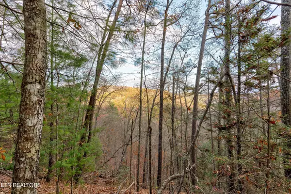 Sevierville, TN 37862,Lot 81 Whetstone Rd