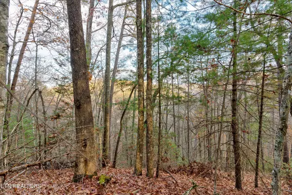 Sevierville, TN 37862,Lot 81 Whetstone Rd