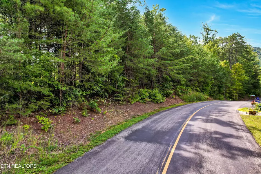 Lot 81 Whetstone Rd, Sevierville, TN 37862