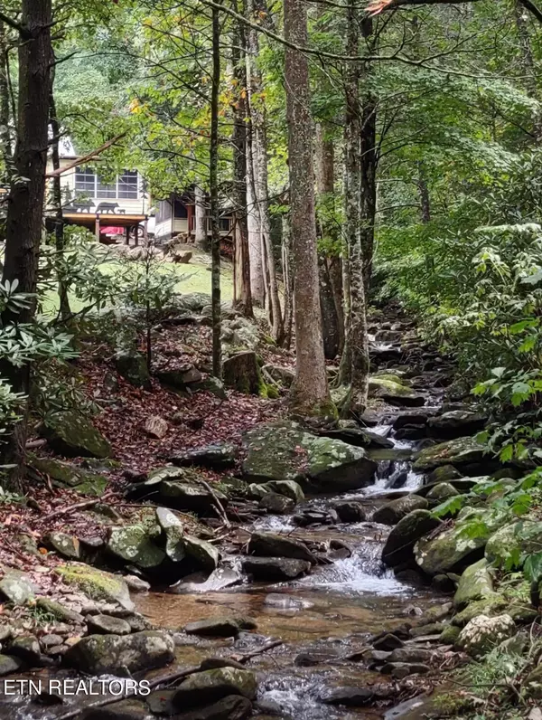 Tellico Plains, TN 37385,1040 Old Bald River Rd