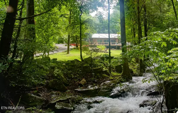 Tellico Plains, TN 37385,1040 Old Bald River Rd