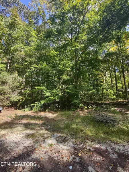 Hueston Wood LN, Speedwell, TN 37870