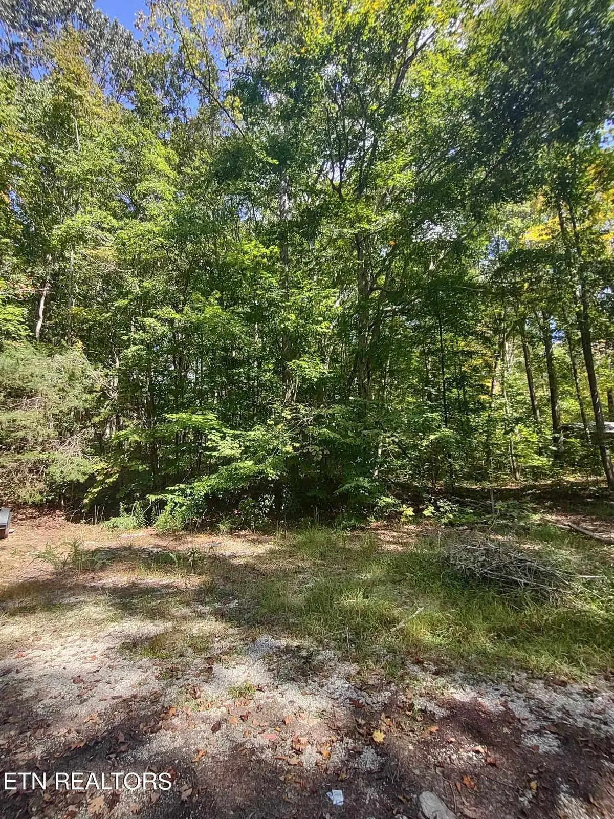 Speedwell, TN 37870,Hueston Wood LN