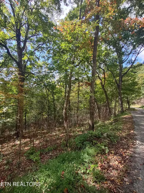 Speedwell, TN 37870,Hueston Wood LN