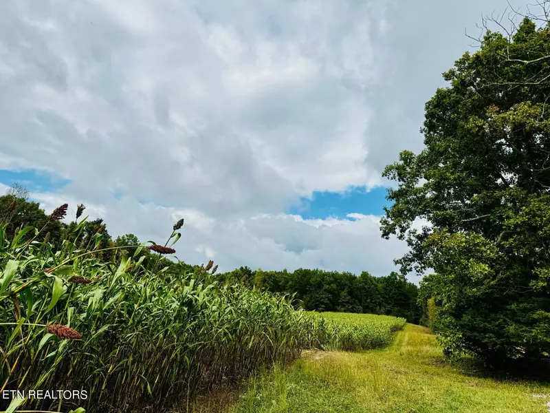 68  Acres Muddy Pond Rd, Monterey, TN 38574