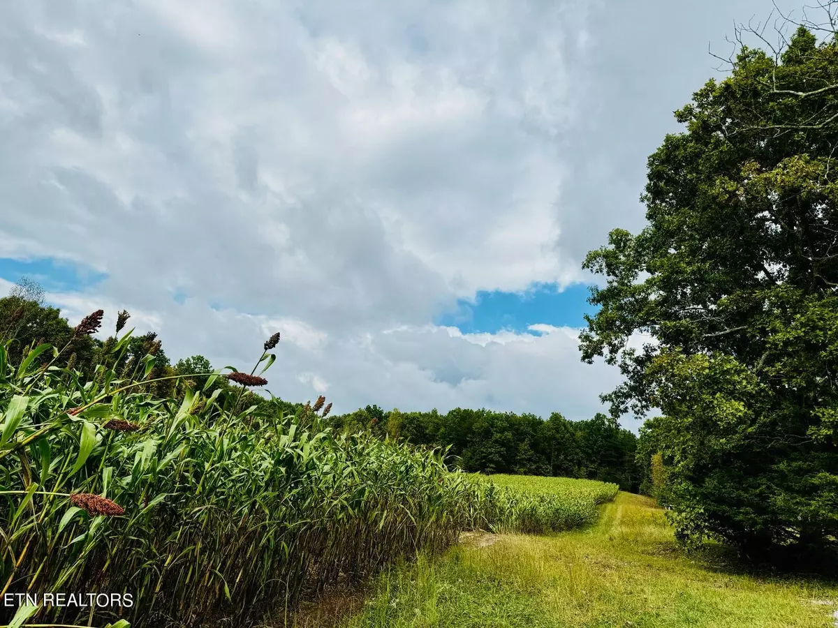 Monterey, TN 38574,68  Acres Muddy Pond Rd