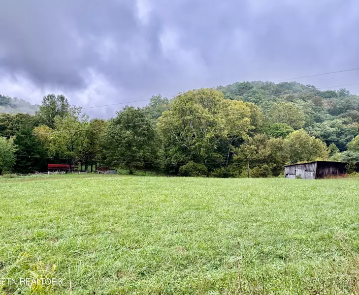 346 Wolfenbarger LN, Luttrell, TN 37779