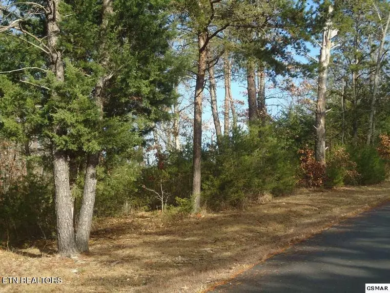 Lot 1 Cobblestone LN, Dandridge, TN 37725