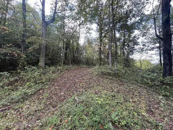 Clinton, TN 37716,Lot 2 Granite Rd