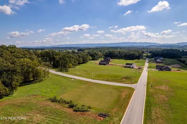 Greenback, TN 37742,Lot 133 Herbert Drive