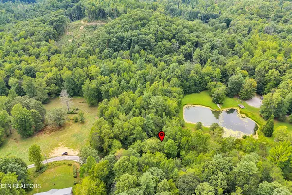 Oliver Springs, TN 37840,Lot 3r-1 Cove LN