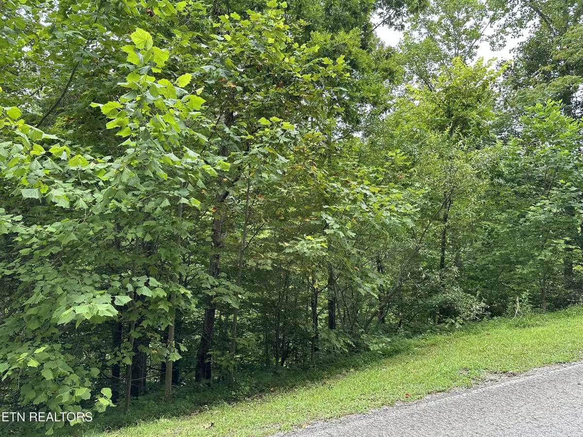 Caryville, TN 37714,lot 21 Ridge Rd