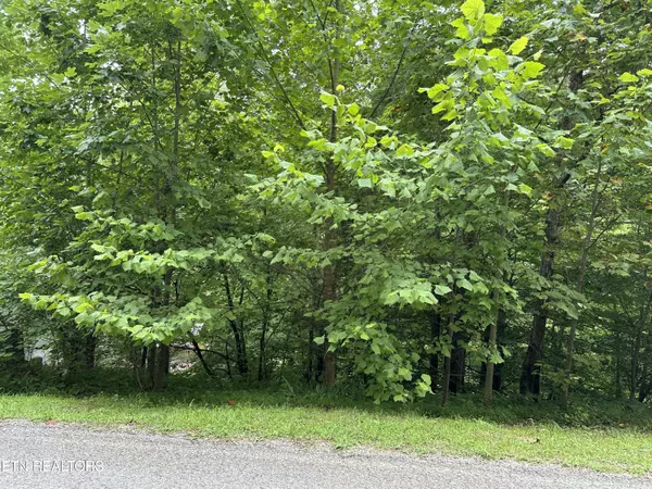 Caryville, TN 37714,lot 21 Ridge Rd