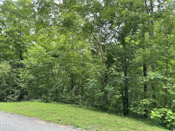 Caryville, TN 37714,lot 21 Ridge Rd