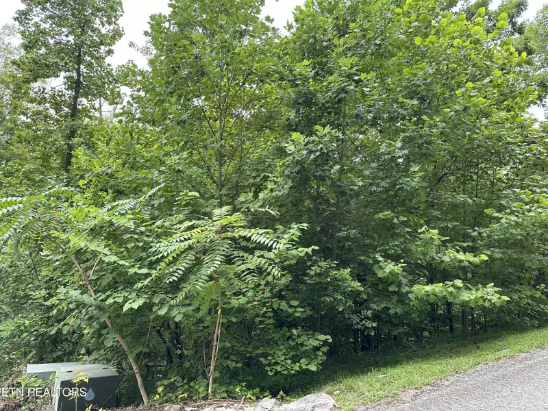 lot 22 Ridge Rd, Caryville, TN 37714