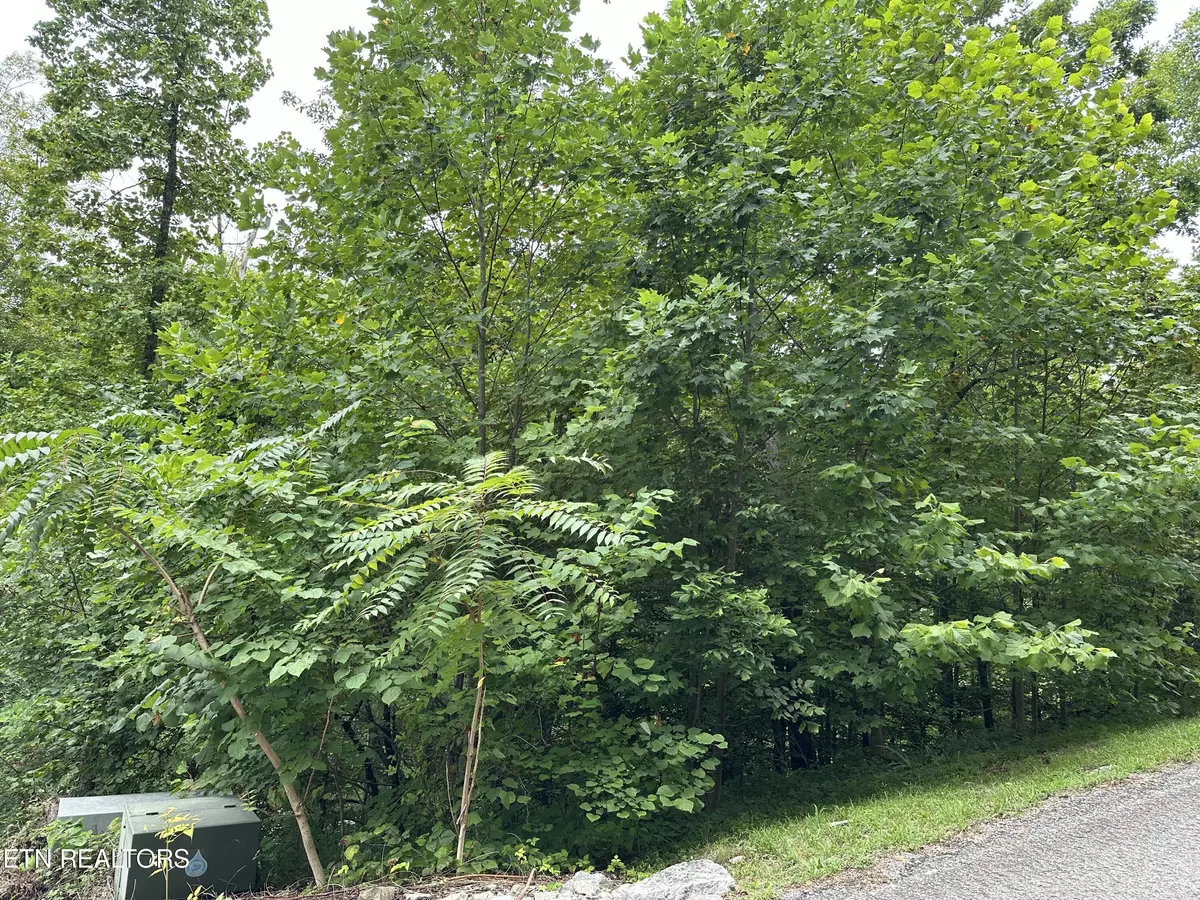 Caryville, TN 37714,lot 22 Ridge Rd