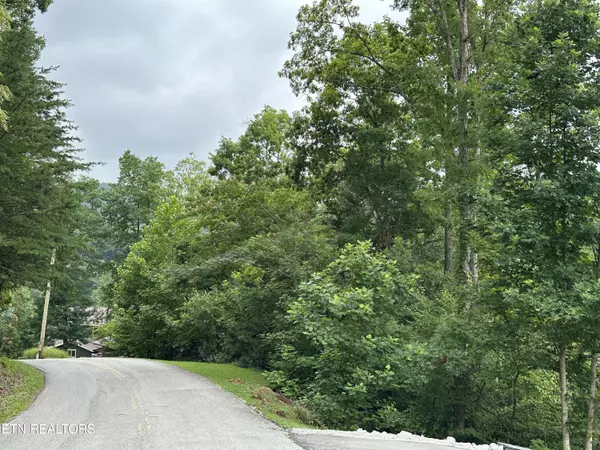 Caryville, TN 37714,lot 22 Ridge Rd