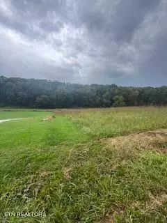 Strawberry Plains, TN 37871,Lot#2 Shady Road