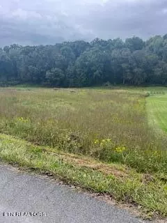 Lot#2 Shady Road, Strawberry Plains, TN 37871