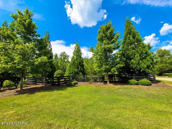 Harriman, TN 37748,300 Caney View DR