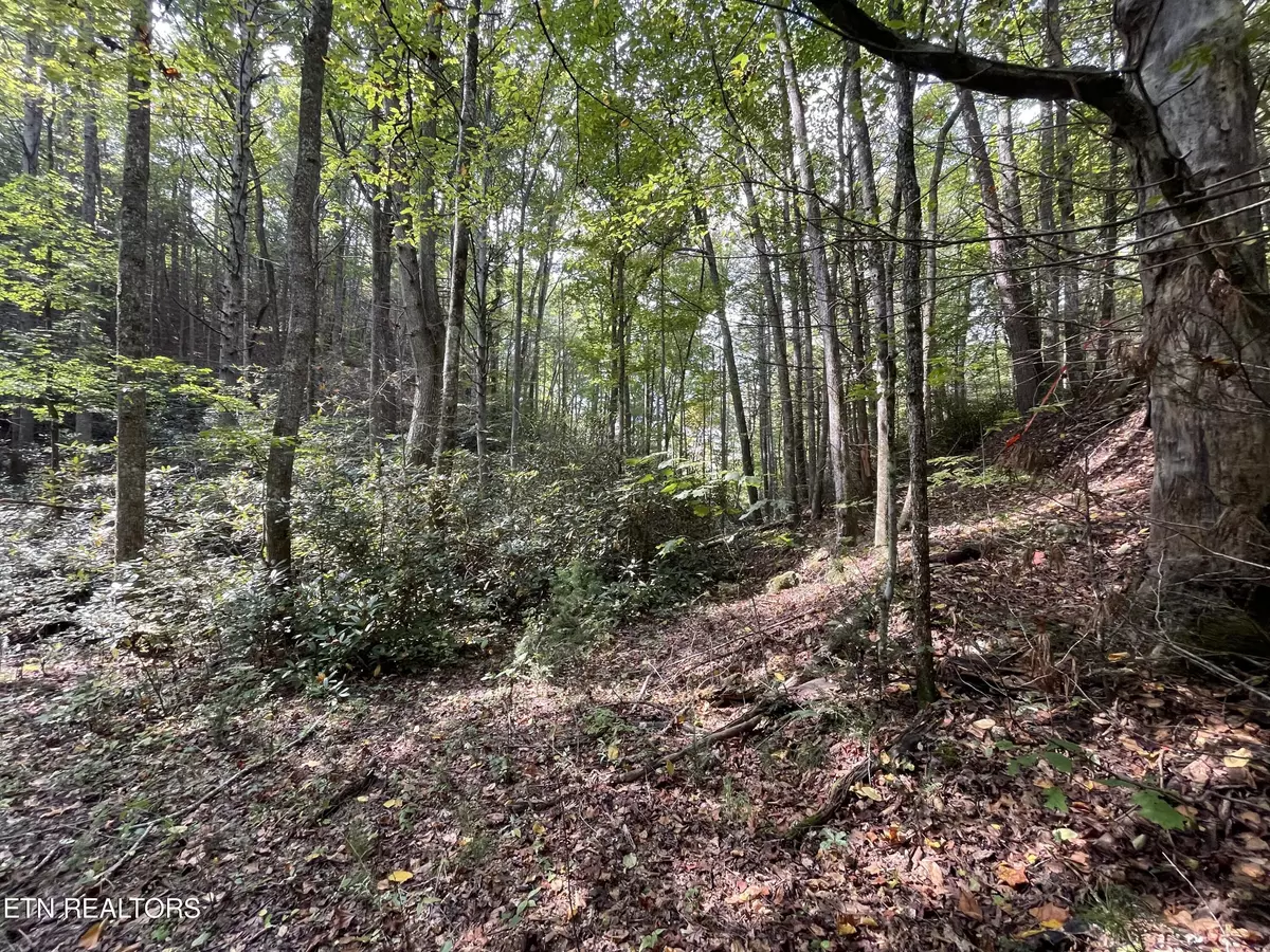 Tellico Plains, TN 37385,Lot16 Steer Creek Rd