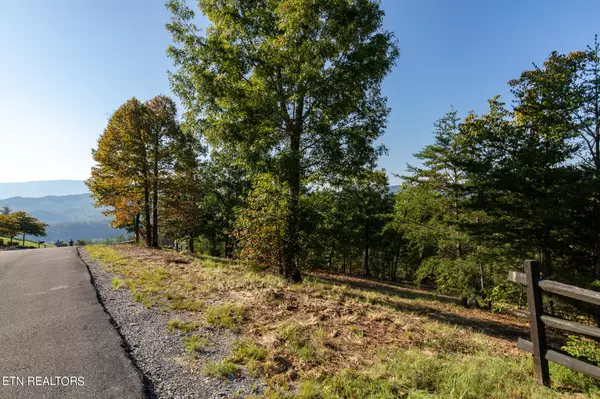 Sevierville, TN 37862,Lot 53 Misty Bluff Tr