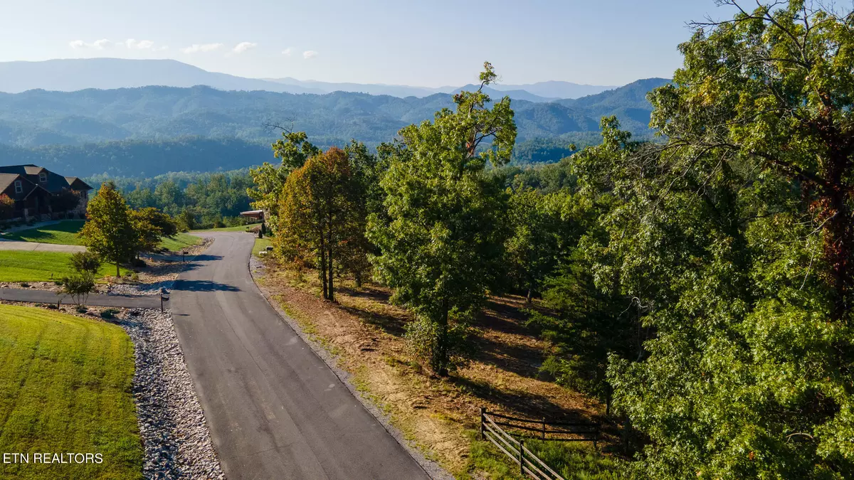 Sevierville, TN 37862,Lot 53 Misty Bluff Tr