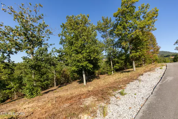 Sevierville, TN 37862,Lot 53 Misty Bluff Tr