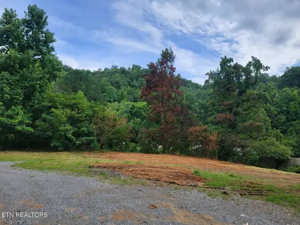 Sevierville, TN 37876,1516 Seagle Hollow Rd