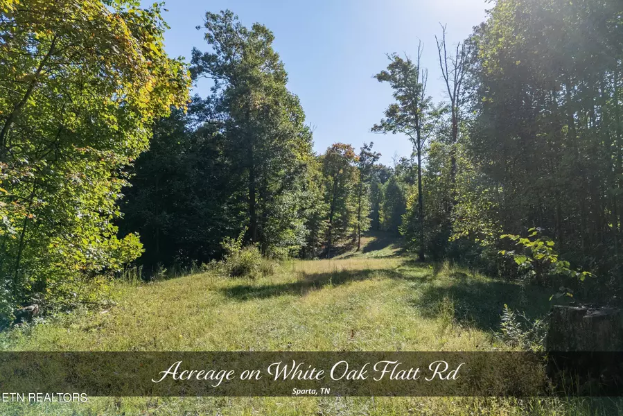 35 AC White Oak Flatt Rd, Sparta, TN 38583